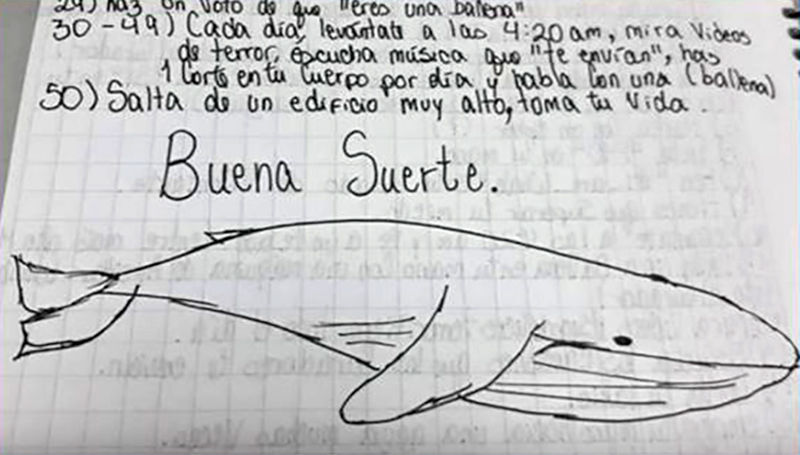 Illustration for article titled Los gatos miserables, los túneles de Elon, las sábanas del porno. Lo mejor de la semana